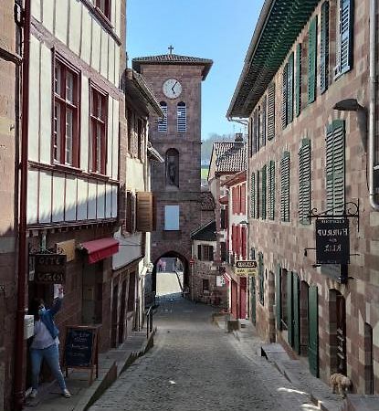Gite Ultreia Vertes Montagnes Saint-Jean-Pied-de-Port Zewnętrze zdjęcie