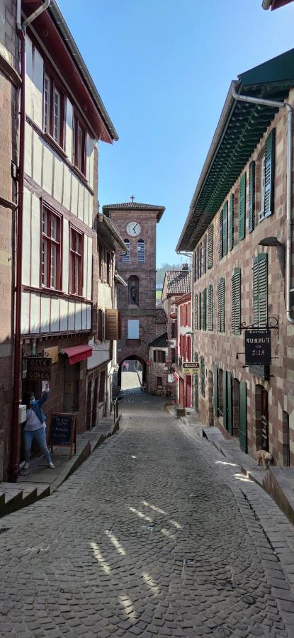 Gite Ultreia Vertes Montagnes Saint-Jean-Pied-de-Port Zewnętrze zdjęcie