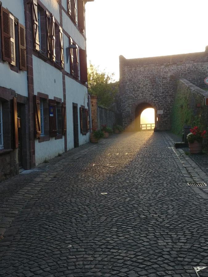 Gite Ultreia Vertes Montagnes Saint-Jean-Pied-de-Port Zewnętrze zdjęcie